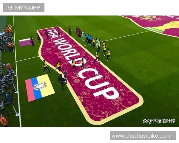 杭州排球队的崛起之路：从默默无闻到世界杯舞台的辉煌历程