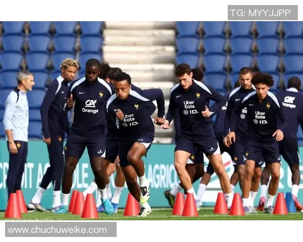 法国足球明星现状分析及未来发展趋势探讨